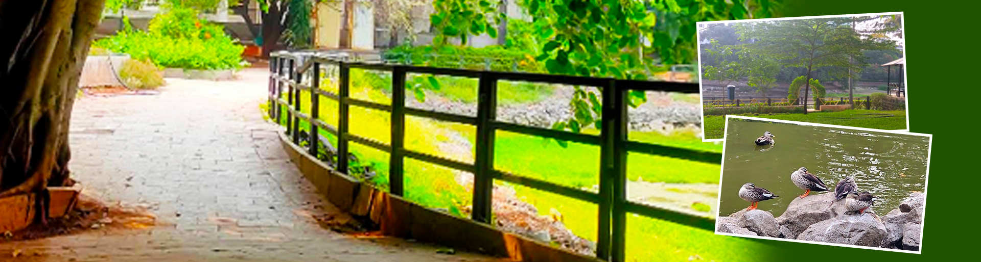 Lakaki Lake Banner 